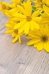 Image showing Yellow Flowers