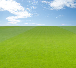 Image showing Green field under blue sky with clouds