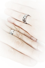 Image showing Hands wearing wedding rings