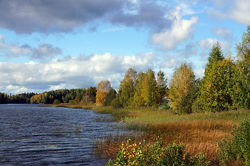 Image showing Autumn landscape