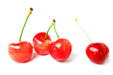 Image showing Cherry fruits