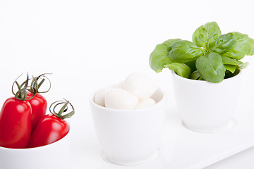 Image showing tasty tomatoe mozzarella salad with basil on white 