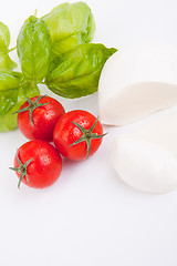 Image showing tasty tomatoe mozzarella salad with basil on white 