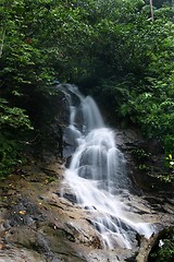 Image showing Waterfall