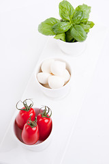 Image showing tasty tomatoe mozzarella salad with basil on white 