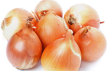 Image showing Onions