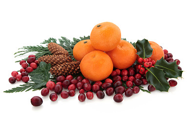 Image showing Mandarin and Cranberry Fruit