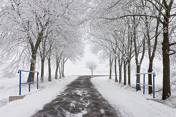 Image showing Empty road 