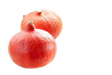 Image showing Pumpkins isolated