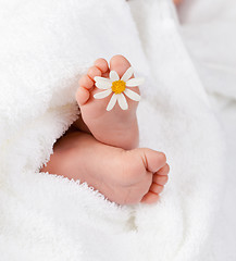 Image showing Lovely infant foot with little white daisy