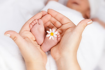 Image showing Lovely infant foot with little white daisy