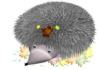 Image showing prickly hedgehog