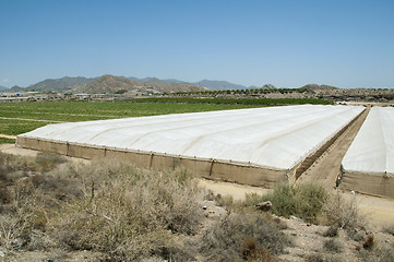 Image showing Rural landscape with cultivation in greenhouse
