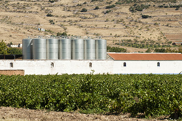 Image showing Vineyards and winery factory