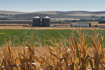 Image showing Corn plantation and processing plant factory