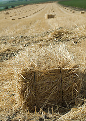 Image showing Bale of straw
