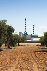 Image showing Olive trees and factory