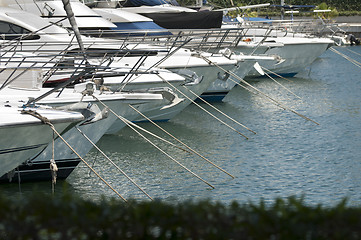 Image showing Yachts moored in marina