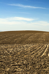 Image showing Agricultural land soil and blue sky