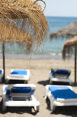 Image showing Straw beach umbrellas and sunbeds