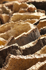 Image showing Cork crust