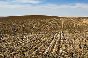 Image showing Agricultural land soil and blue sky