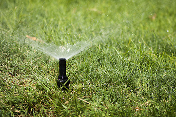 Image showing Watering the garden