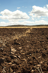 Image showing Agricultural land