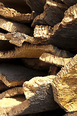 Image showing Cork crust