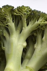 Image showing broccoli