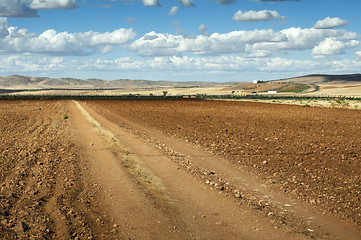 Image showing Rural road