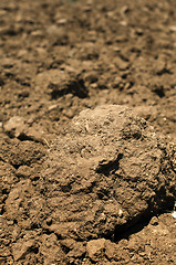 Image showing Agricultural land soil close up