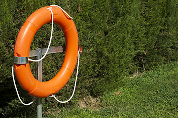 Image showing Buoy and green fence