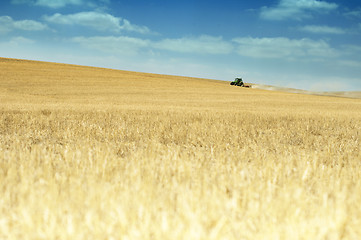 Image showing Tractor plowing field