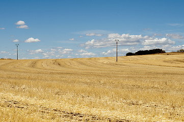 Image showing Agricultural land