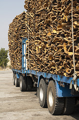 Image showing Pieces of cork bark. Loaded on truck