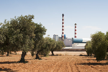 Image showing Olive trees and factory