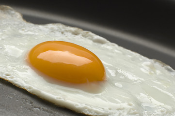 Image showing egg