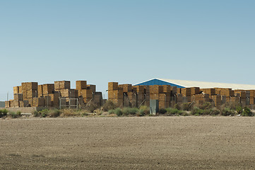 Image showing Factory production of pallets