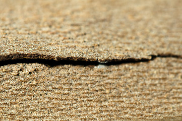 Image showing Tree crust close up