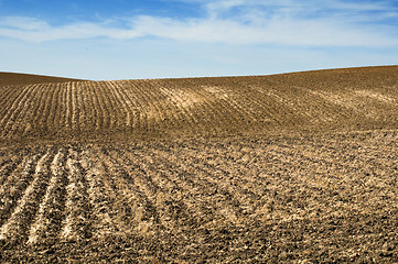 Image showing Agricultural land soil and blue sky