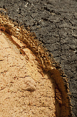 Image showing Cork crust