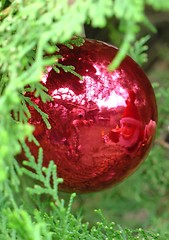 Image showing Christmas tree balls