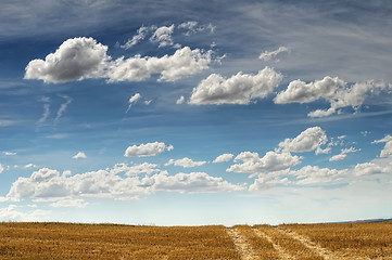 Image showing Rural road