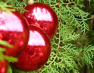 Image showing Christmas tree balls