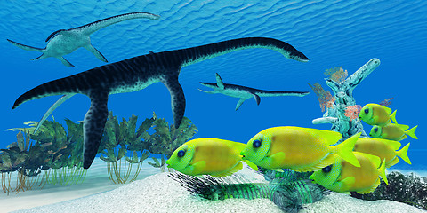 Image showing Plesiosaurus Coral reef