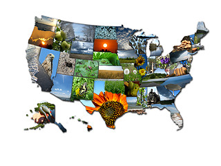 Image showing Photo collage of unusual map of states of USA