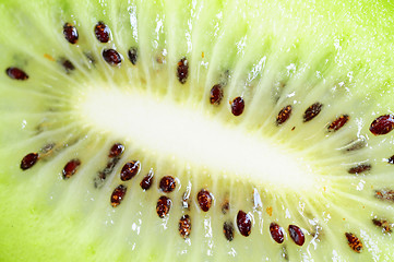 Image showing Slices of kiwi fruits