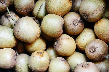 Image showing Kiwi fruits