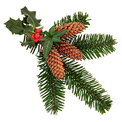 Image showing Decorative Winter Spray